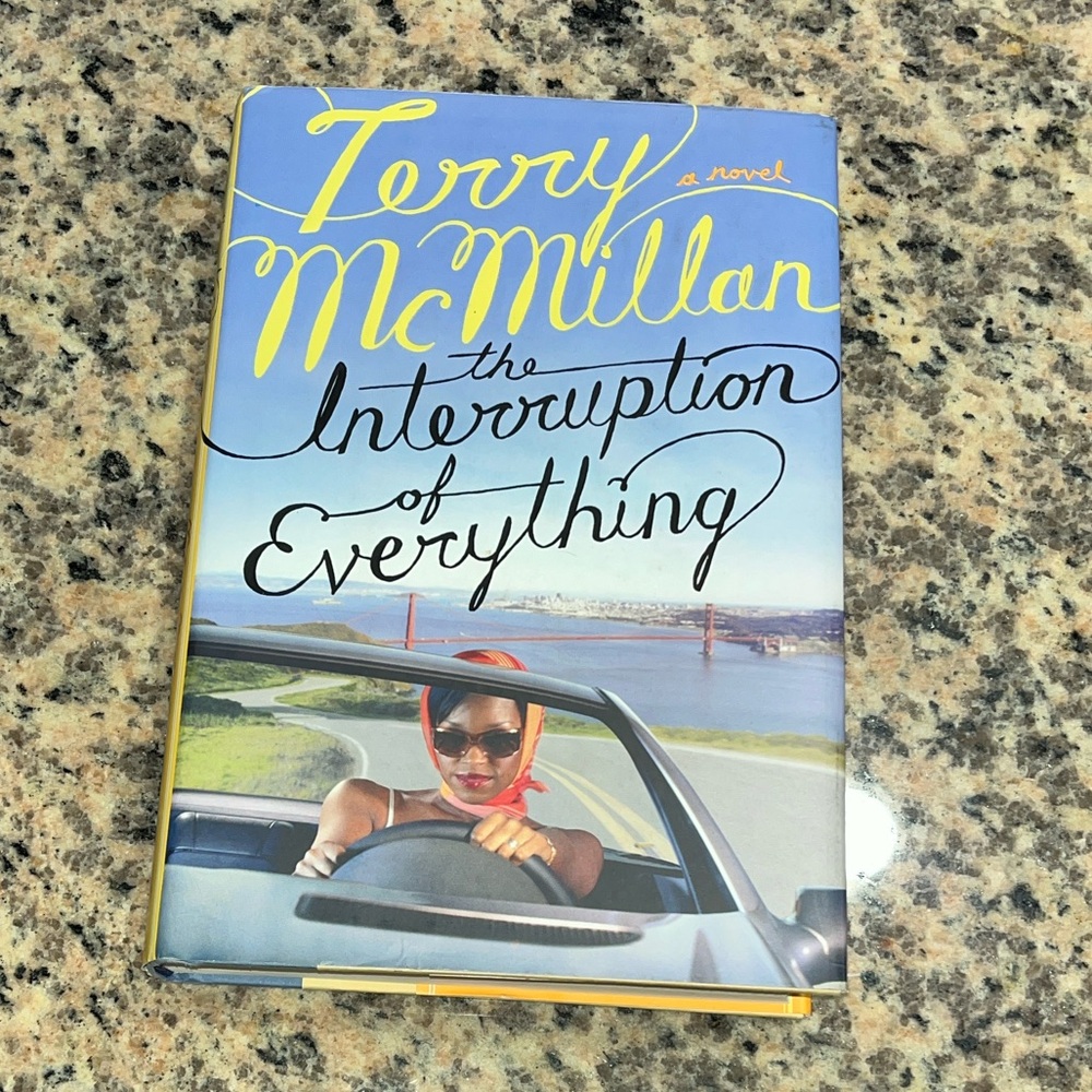 Terry McMillan Novel - The Interruption of Everything
